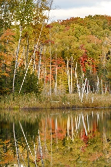 Shoreline of Red Jack Lake at sunrise, Hiawatha National Forest, Upper Peninsula