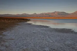 Grasses Prints: A short drive from San Pedro de Atacama is the Cejar Salt Lake with the Cordillerta