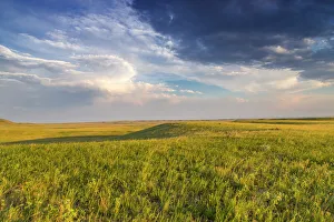 Grassland Prints: Shortgrass praire at the Bitter Creek Wilderness Study Area near Hinsdale, Montana, USA