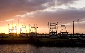 Commercial Fishing Prints: Shrimp boats at sunrise, Seadrift, Tx