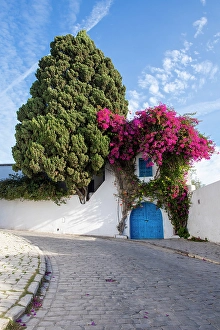 Tunisia Prints: Sidi Bou Said, Tunisia, Africa. A picturesque doorway in town