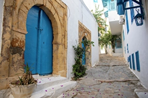 Tunisia Prints: Sidi Bou Said, Tunisia, Africa. A charming alleyway in a town near the Mediterranean