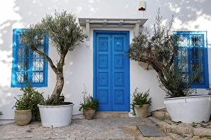 Tunisia Prints: Sidi Bou Said, Tunisia, Africa. A picturesque doorway in town