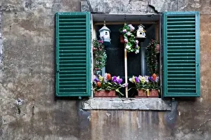 Inti St Clair Prints: Sienna, Tuscany, Italy - View of a window with green shutters