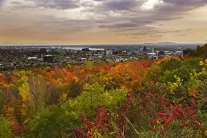 Images Dated 15th October 2008: Sights of Montreal, scenic view Montreal from Mount Royal Park