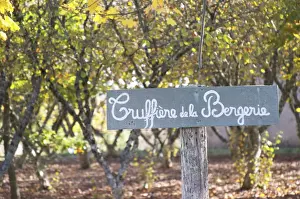 Sign Post Prints: Sign at the entrance Truffiere de la Bergerie (Truffiere) truffles farm Ste Foy de