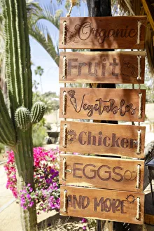 Baja California Prints: Sign for farm produce. Cabo San Lucas, Mexico