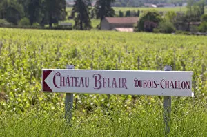 A sign pointing to Chateau Belair Cubois-Challon Chateau Belair (Bel Air) 1st