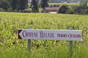 Bucolic Prints: A sign pointing to Chateau Belair Cubois-Challon Chateau Belair (Bel Air) 1st