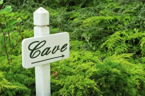 Images Dated 24th May 2007: A sign pointing tho the wine cellar (Cave) in front of green shrubs at Chateau Soucherie