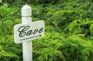 Winery Prints: A sign pointing tho the wine cellar (Cave) in front of green shrubs at Chateau Soucherie