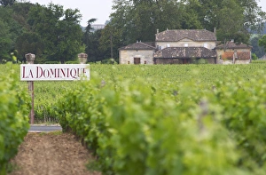 Images Dated 11th August 2015: A sign in the vineyard saying Chateau La Dominique, and a unknown winery in the background