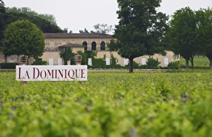 Bucolic Prints: A sign in the vineyard saying Chateau La Dominique, and a unknown winery in the background