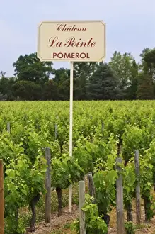 Arable Prints: A sign in the vineyards saying Chateau La Pointe Pomerol Bordeaux Gironde Aquitaine