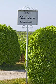 A sign in the vineyards saying Chateau Valandraud Saint Emilion Grand Cru, owned
