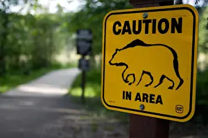 Warning Prints: A sign warns visitors about bear danger near Laird River in Hotsprings Provincial Park