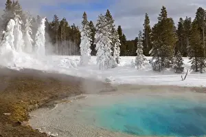 Silex Spring in the Lower Geyser Basin in Yellowstone National Park, Wyoming, USA