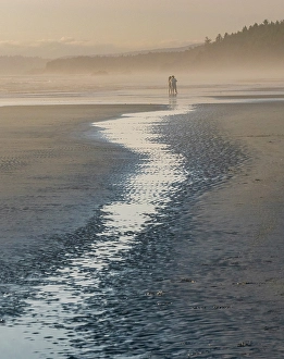 Prints of Silhouette of people walking on the beach in mist. Kalaloch Beach, Olympic Peninsula, Washington State Images Dated 2024 October: Silhouette of people walking on the beach in mist
