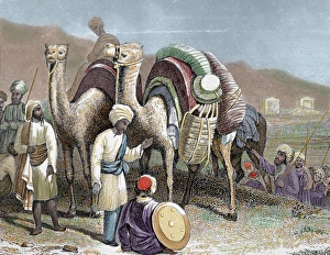 Rest Prints: Silk Road. Caravan of camels resting. Antioch. Nineteenth-century colored engraving