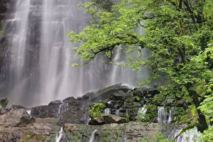 Silver Falls, Golden and Silver Falls State Natural Area, Oregon