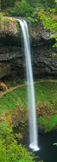 Silver Falls Prints: Silver Falls State Park east of Salem Oregon and south Falls in Sprintime