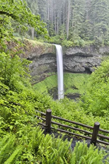 Silver Falls State Park, Oregon. South Falls and trail leading to it