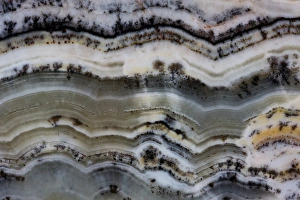 Multi Colored Prints: Silver Lace Onyx