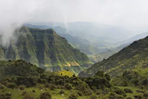 Amhara Prints: Simien Mountain in morning mist, Ethiopia