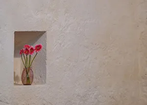 Meditative Prints: Simple floral tribute growing a niche in the great stone walls of Ballintubber Abbey