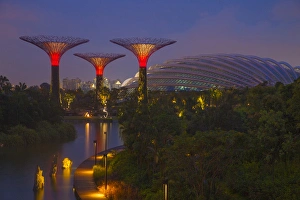 Images Dated 27th August 2013: Singapore. Garden by the Sea towers at night