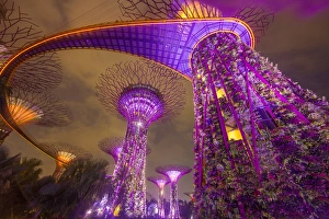 Singapore Prints: Singapore. Garden by the Sea towers at night