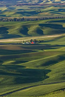 Distant Prints: Single distant red barn among rolling fields of wheat, Palouse region of eastern