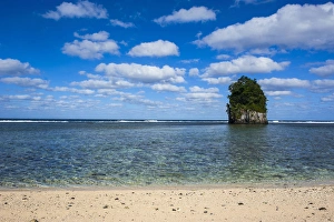 Palm Trees Prints: Single rock at coconut point in Tutuila island, American Samoa, South Pacific