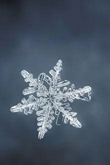 Crystal Prints: Single snowflake