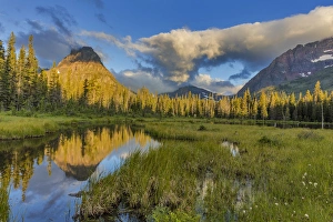 Sinopah Mountain reflects in beaver pond in Two Medicine Valley in Glacier National Park
