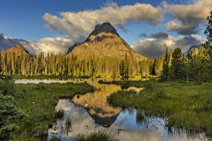 Sinopah Prints: Sinopah Mountain reflects in beaver pond in Two Medicine Valley in Glacier National Park
