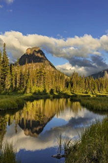 Images Dated 12th July 2016: Sinopah Mountain reflects in beaver pond in Two Medicine Valley in Glacier National Park