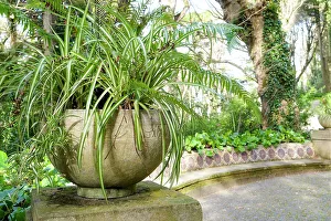 Sintra Prints: Sintra, Portugal. Pena Palace. Palace grounds