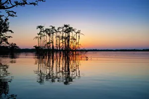Equator Prints: Situated right on the equator in the Amazon rainforest