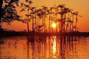 Equator Prints: Situated right on the equator in the Amazon rainforest