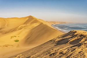 Skeleton Coast Prints: Skeleton Coast, Namibia, Africa