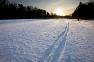 Ski tracks at the Willowbrook Farm Preserve in Pembroke, Massachusetts. Wildlands