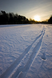 South Eastern Prints: Ski tracks at the Willowbrook Farm Preserve in Pembroke, Massachusetts. Wildlands