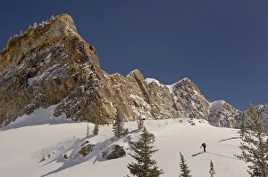 Climbing Prints: skiers ascending in Mill B South Fork, Twin Peaks Wilderness, Big Cottonwood Canyon
