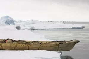 skin boat on the edge of a lead in the frozen Chuckchi Sea, off Point Barrow, Arctic Alaska