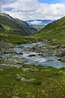 Jolly Sienda Prints: Skjolden, Jotunheimen National Park, Norway. Glacier stream and mountains
