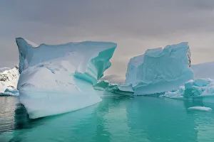 Floating Prints: Skontorp cove, Paradise Bay, Antarctica