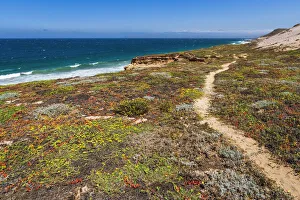Ventura County Prints: Skunk Point trail, Santa Rosa Island, Channel Islands National Park, California, USA