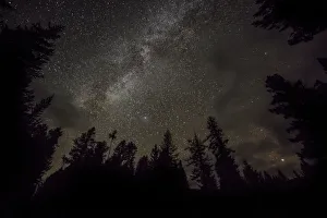 Skies Prints: A sky full of stars in the forest in Glacier National Park, Montana, USA