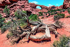 Skyline Arch Prints: Skyline Arch, Arches National Park, Moab, Utah, USA